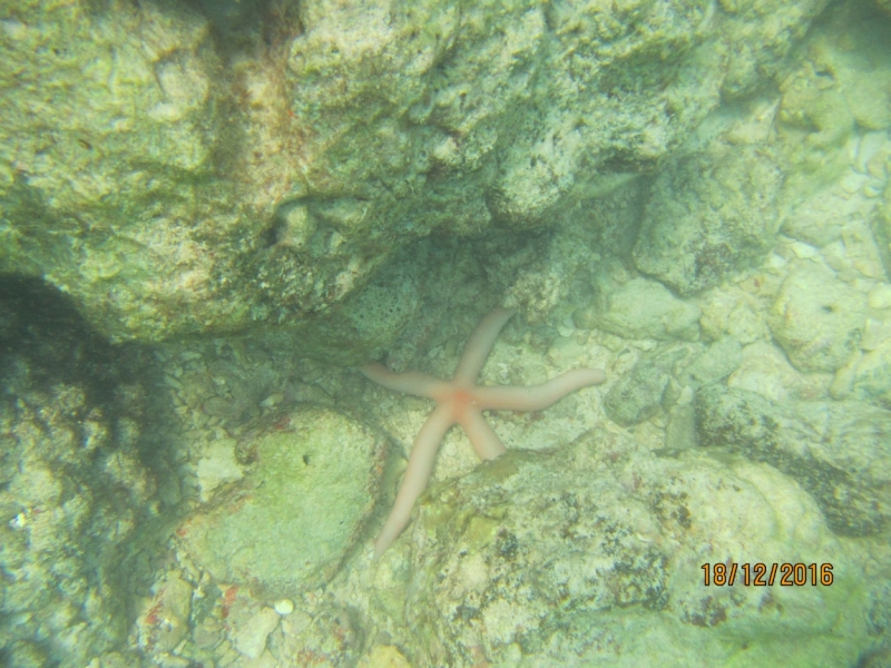 Второй заход. Наш теплый декабрь 2016 (Пхукет, Краби, Бангкок)