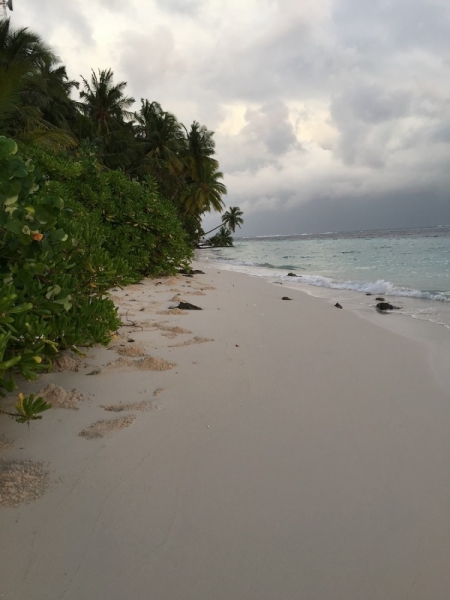 Masfalhi View Inn, Felidhoo