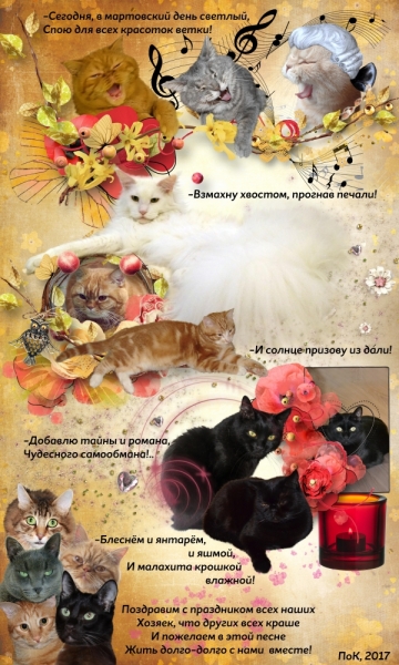 Поговорим о кошках43