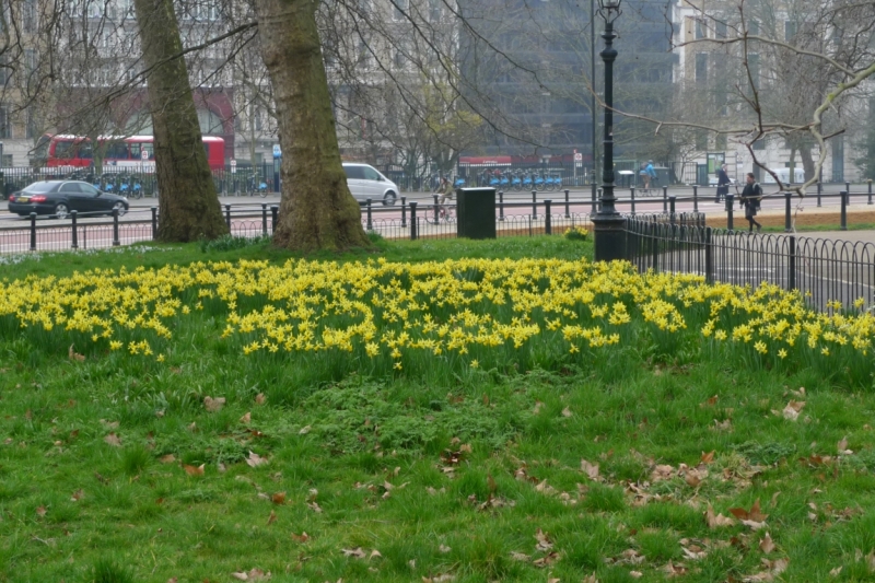Любимые сады и парки Англии