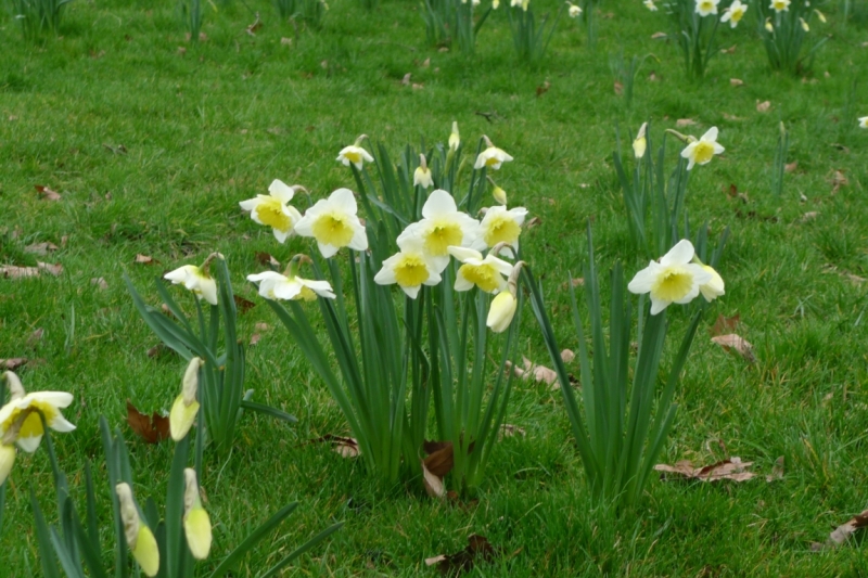 Любимые сады и парки Англии