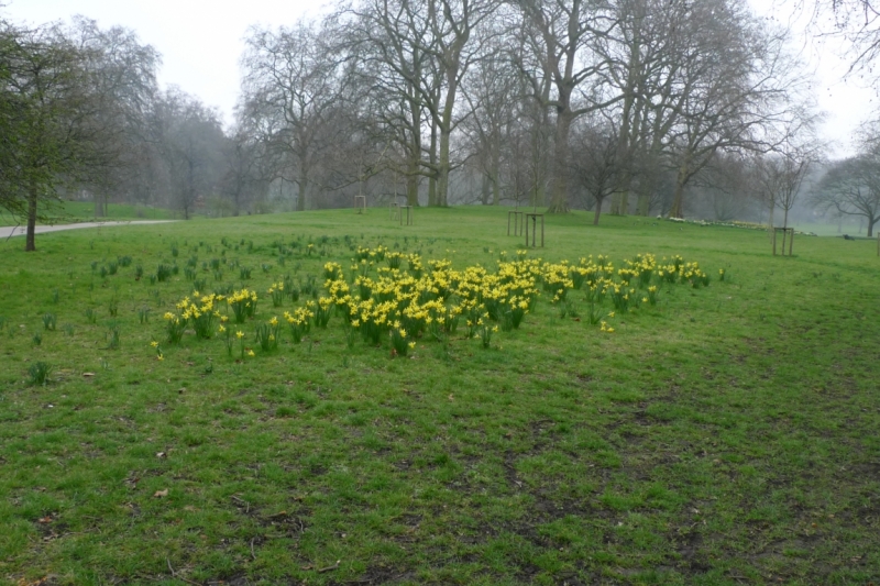 Любимые сады и парки Англии