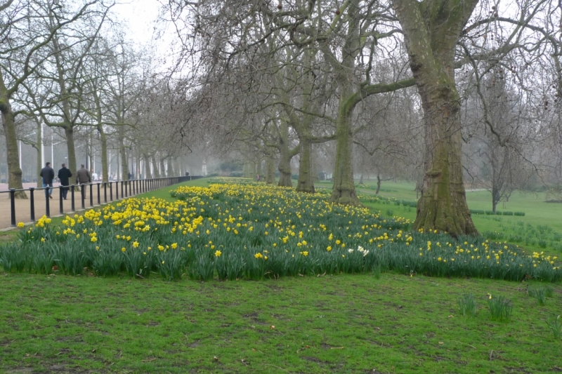 Любимые сады и парки Англии