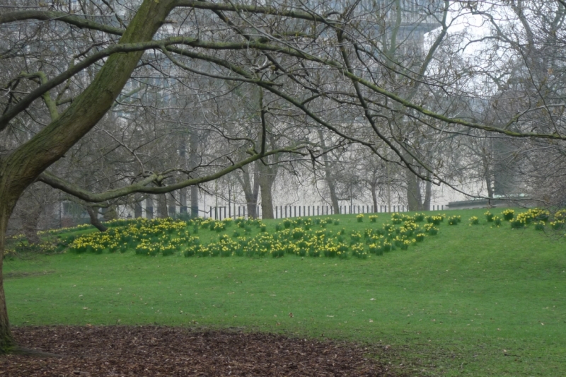 Любимые сады и парки Англии