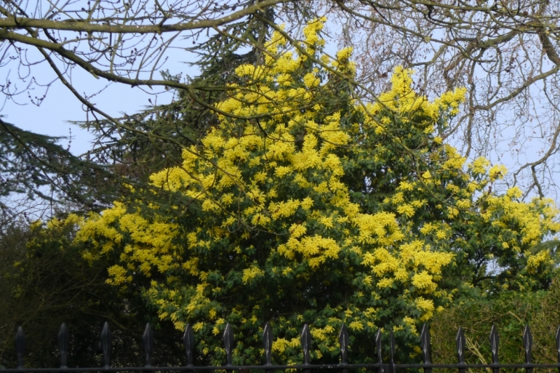 Любимые сады и парки Англии