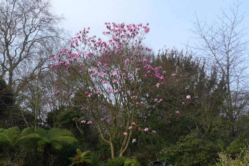 Любимые сады и парки Англии