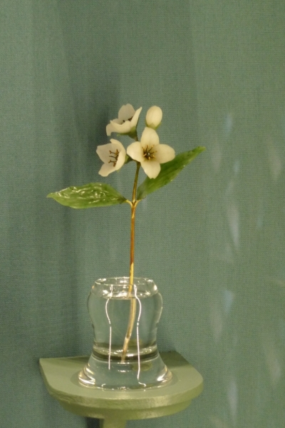 Любимые сады и парки Англии