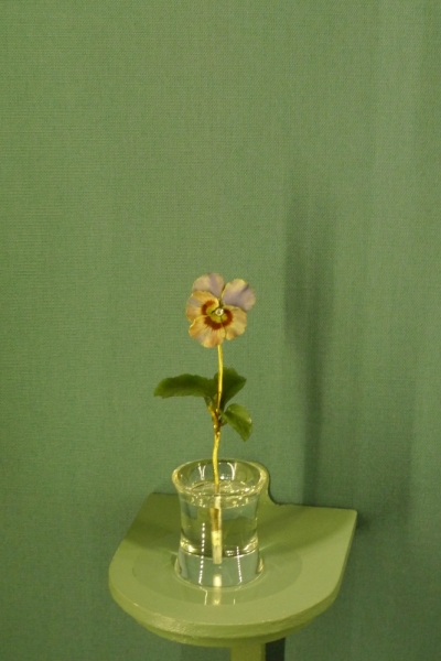 Любимые сады и парки Англии