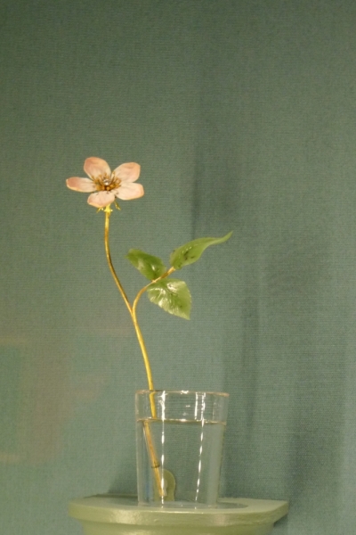 Любимые сады и парки Англии