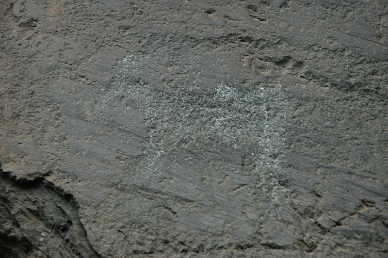 Горный Алтай