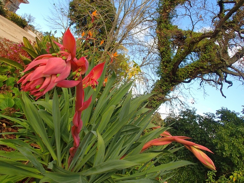 Поговорим о кошках43