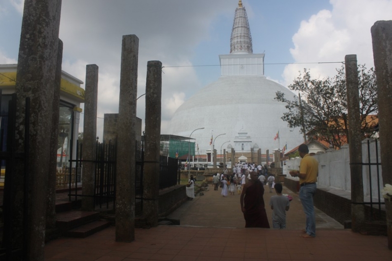 Шри-Ланка в марте 2016: в стране слонов, чая и буддистских храмов