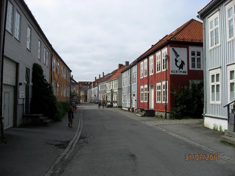 Дети (4 и 8 лет) в гостях у троллей дождливым летом 2011