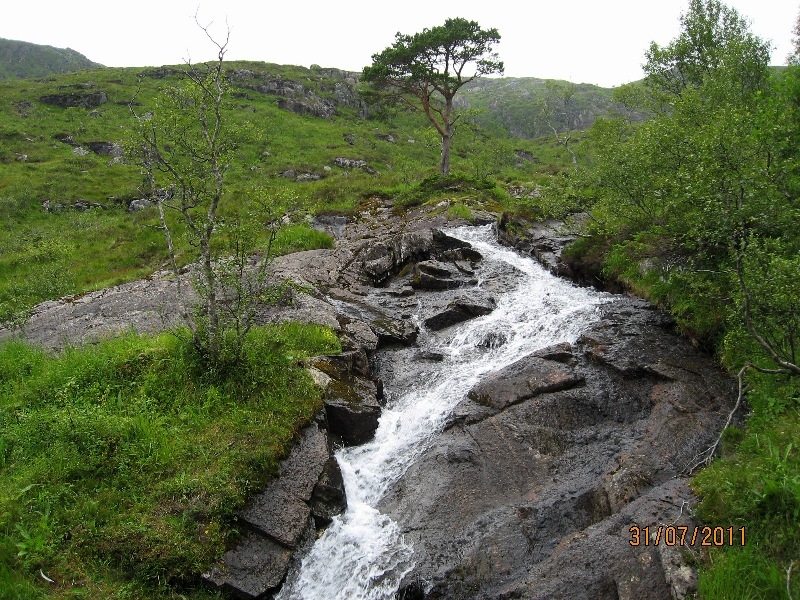 Дети (4 и 8 лет) в гостях у троллей дождливым летом 2011