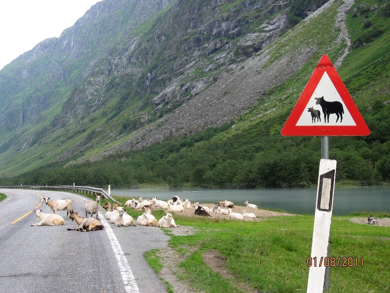 Дети (4 и 8 лет) в гостях у троллей дождливым летом 2011