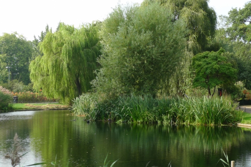 Любимые сады и парки Англии