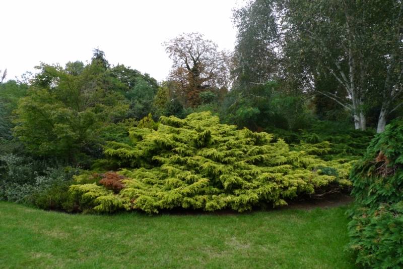 Любимые сады и парки Англии