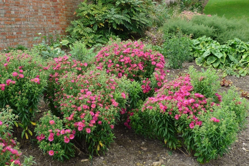 Любимые сады и парки Англии