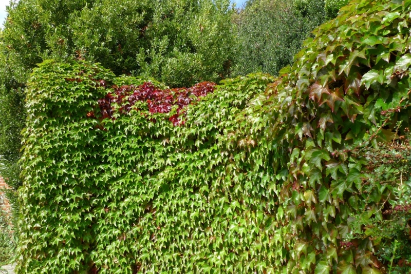 Любимые сады и парки Англии