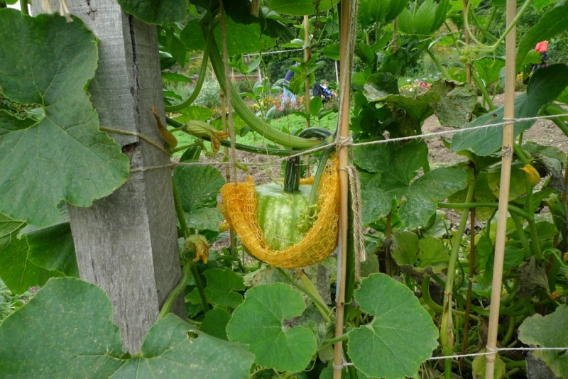 Любимые сады и парки Англии
