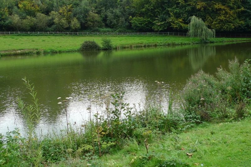 Любимые сады и парки Англии