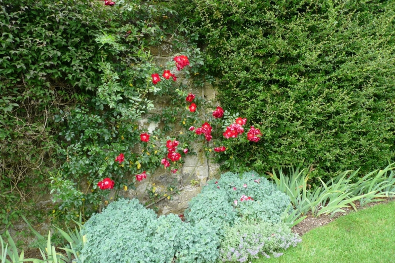 Любимые сады и парки Англии