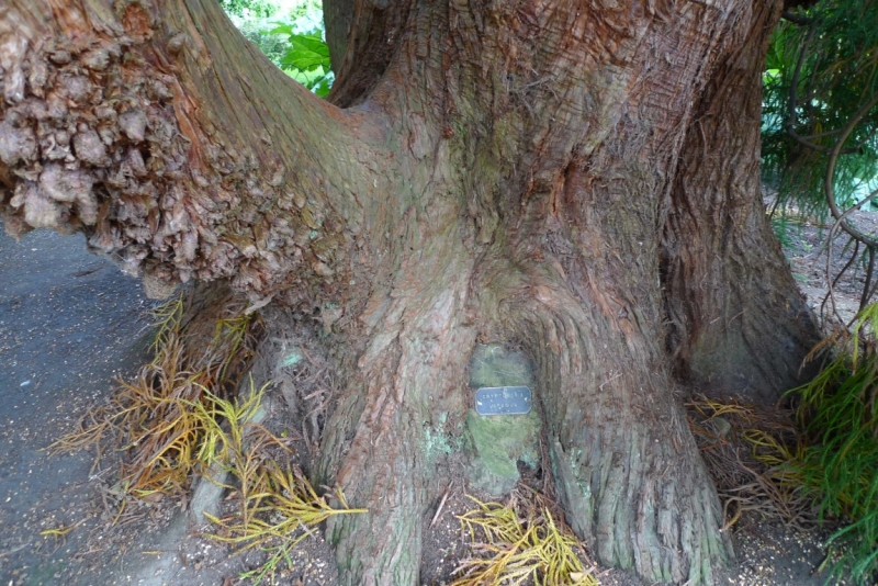 Любимые сады и парки Англии