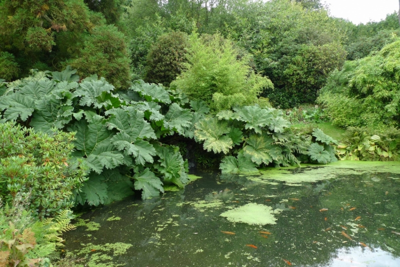 Любимые сады и парки Англии