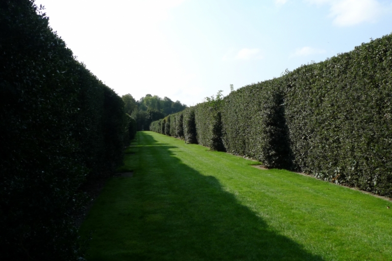 Любимые сады и парки Англии