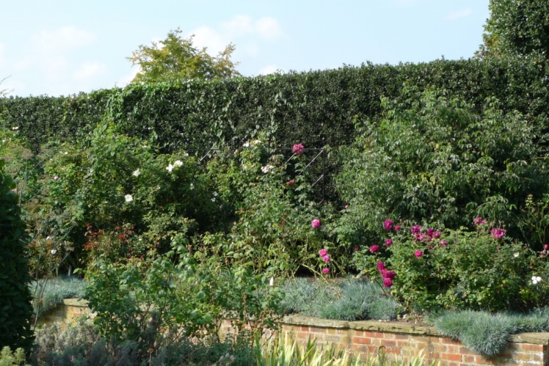 Любимые сады и парки Англии