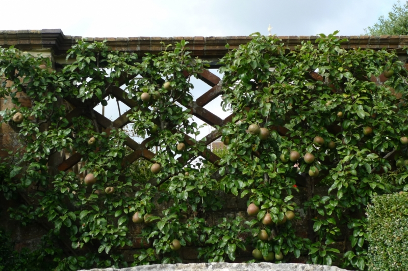 Любимые сады и парки Англии