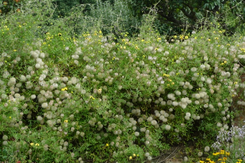 Любимые сады и парки Англии