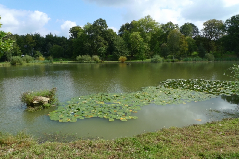 Любимые сады и парки Англии