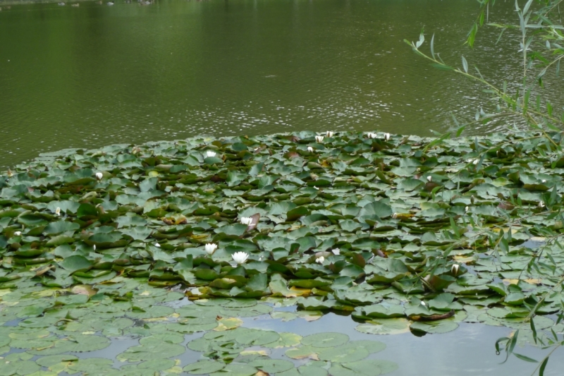Любимые сады и парки Англии