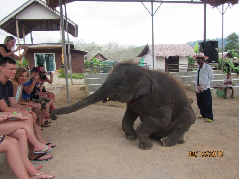 Второй заход. Наш теплый декабрь 2016 (Пхукет, Краби, Бангкок)