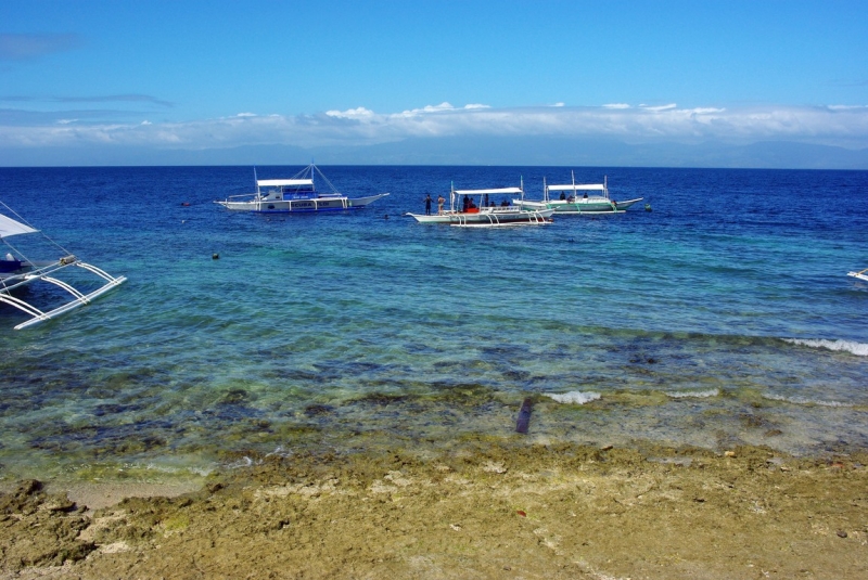 Cebu, Moalboal и Palawan, El Nido с 3 по 20 февраля 2017