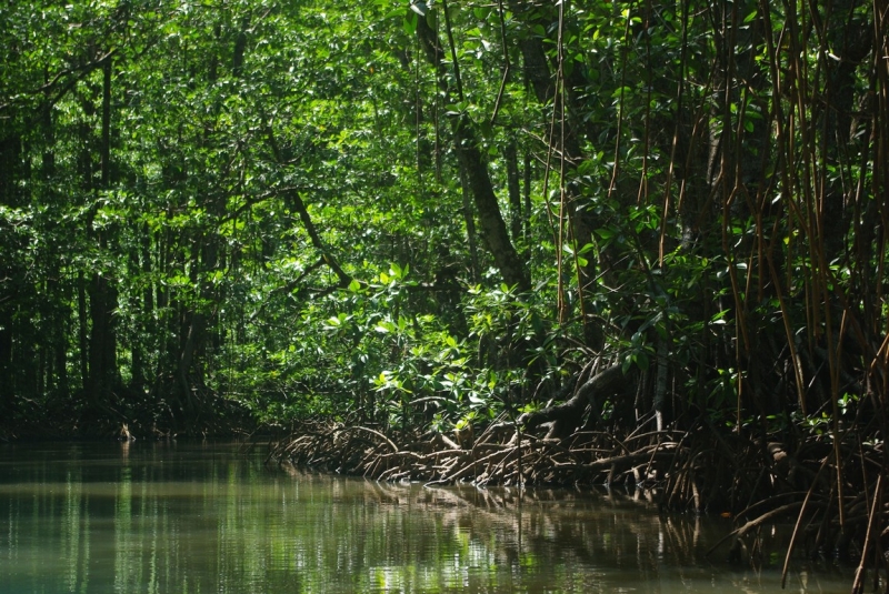 Cebu, Moalboal и Palawan, El Nido с 3 по 20 февраля 2017