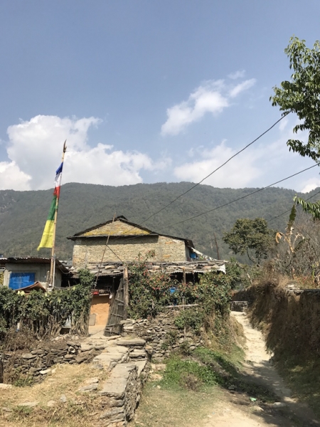 Аннапурна: Mardi Himal, ABC, Добато, Копра. От гурунгов к пунам. Февраль-март 2017