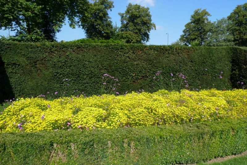 Любимые сады и парки Англии