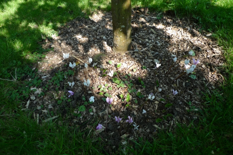 Любимые сады и парки Англии