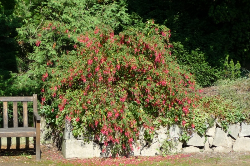 Любимые сады и парки Англии