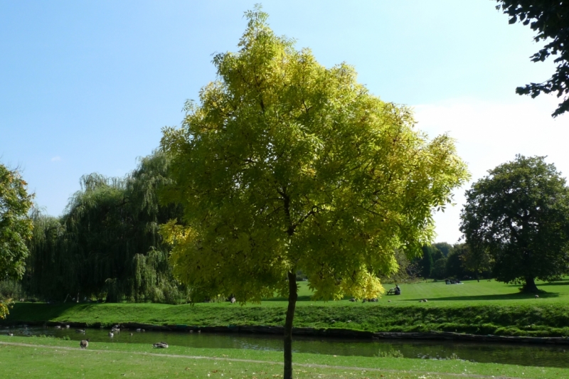 Любимые сады и парки Англии