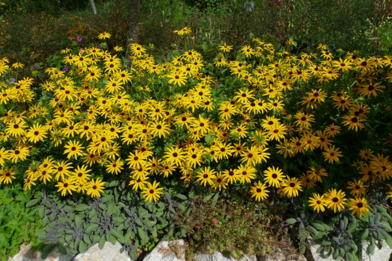 Любимые сады и парки Англии