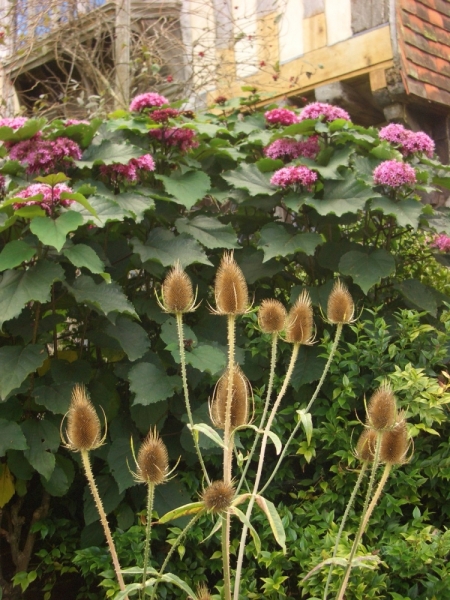 Любимые сады и парки Англии