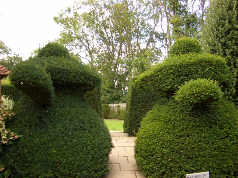 Любимые сады и парки Англии