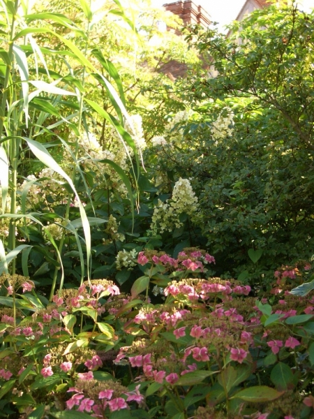 Любимые сады и парки Англии