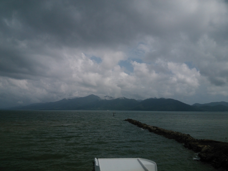 Зов Джунглей