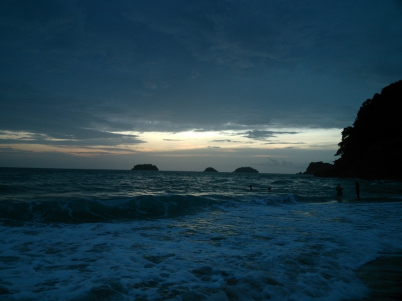 Зов Джунглей