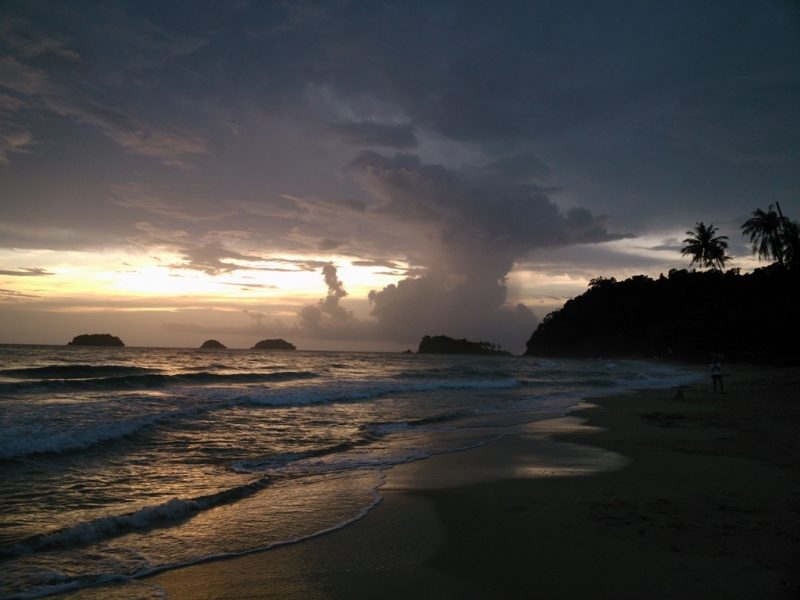 Зов Джунглей