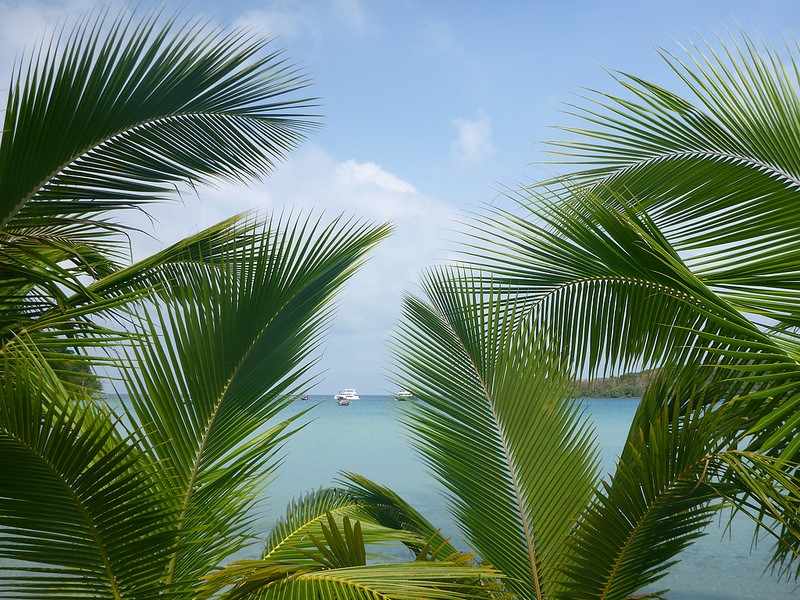 Тайский пальминг Ко Чанг Ко Вай Ко Мак  Ко Куд Koh Chang Koh Wai Koh Mak Koh Kood